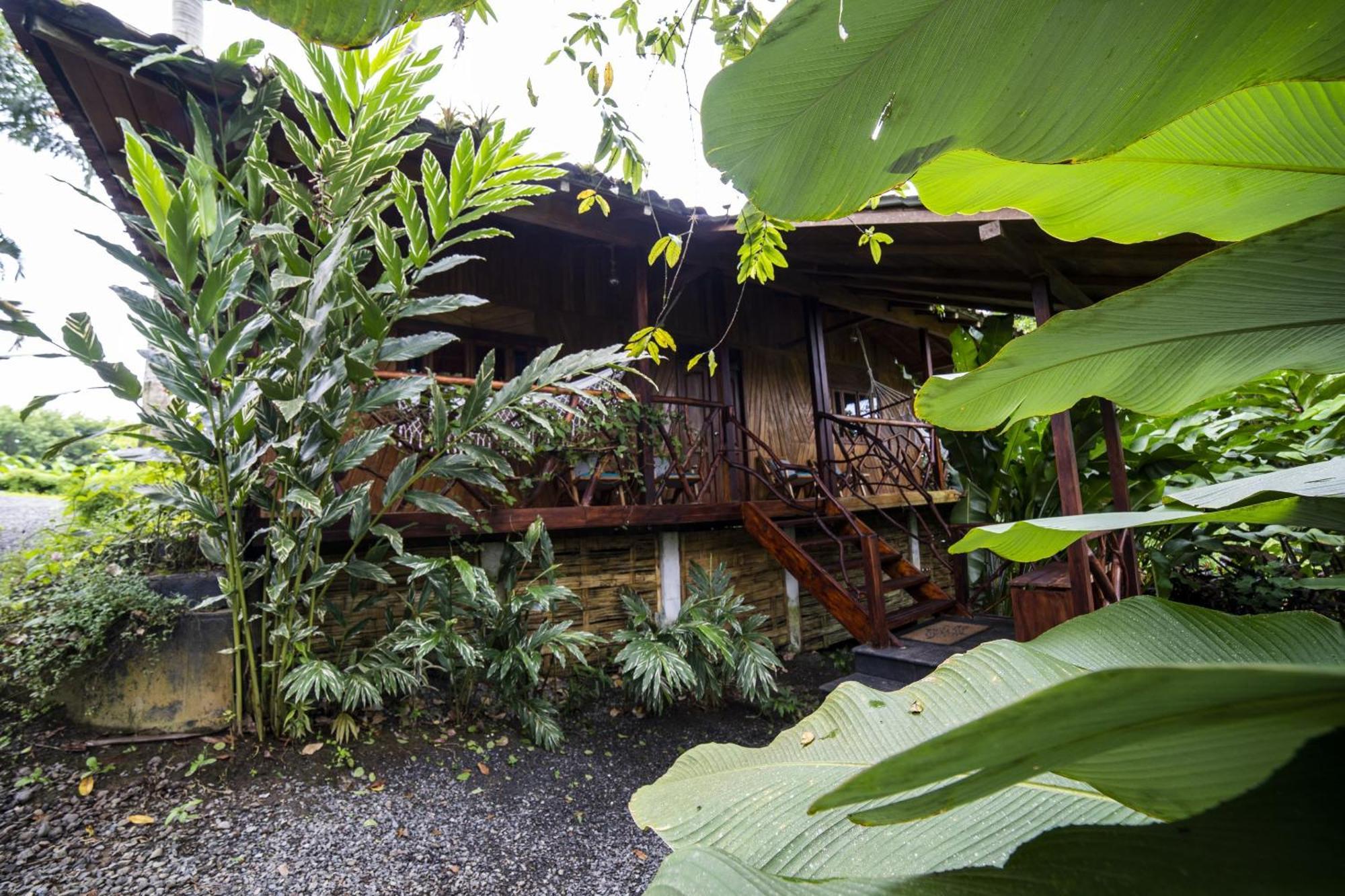 The River House - Upscale
